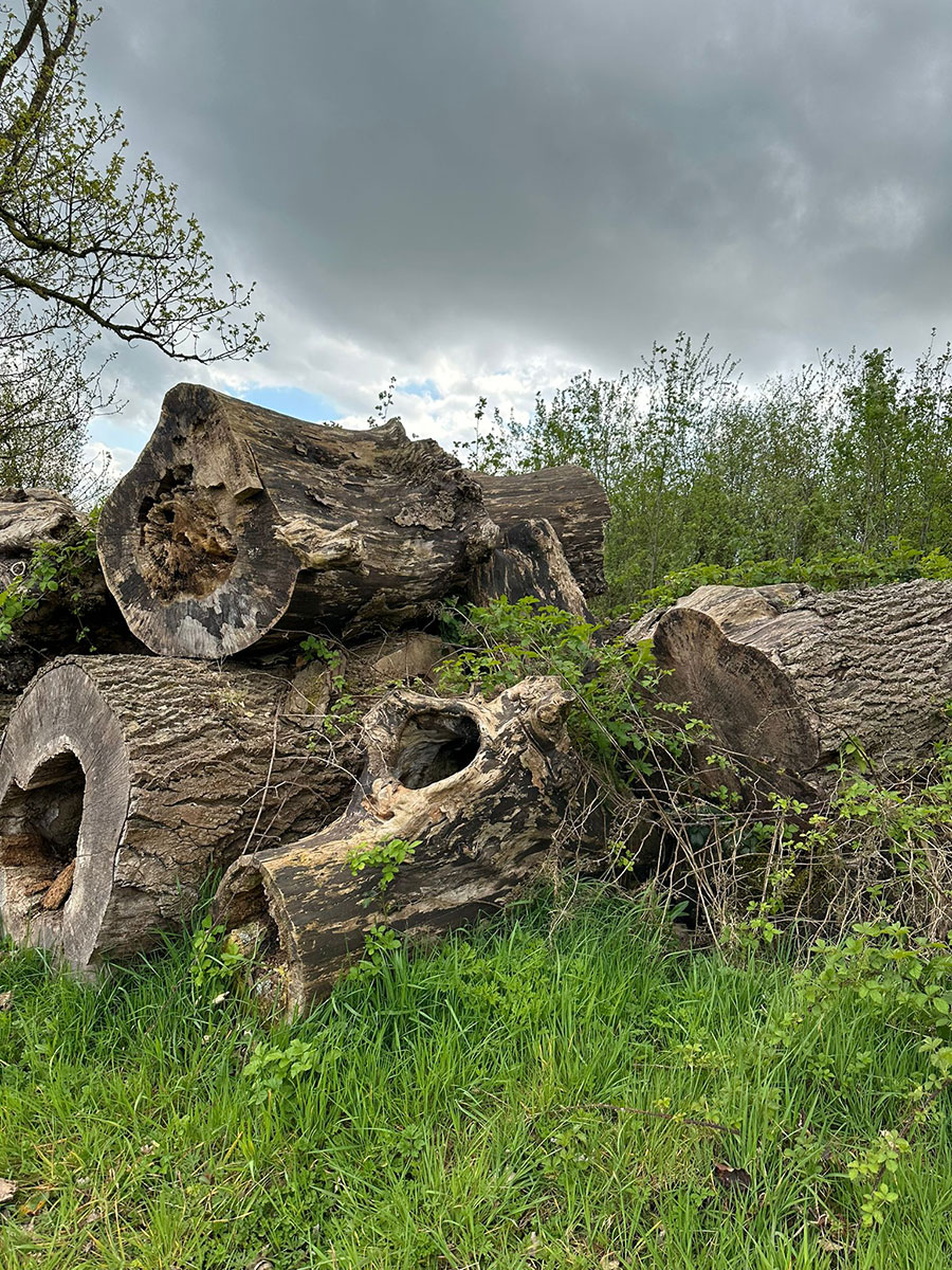 Stmperies and Rooteries from Brookfield