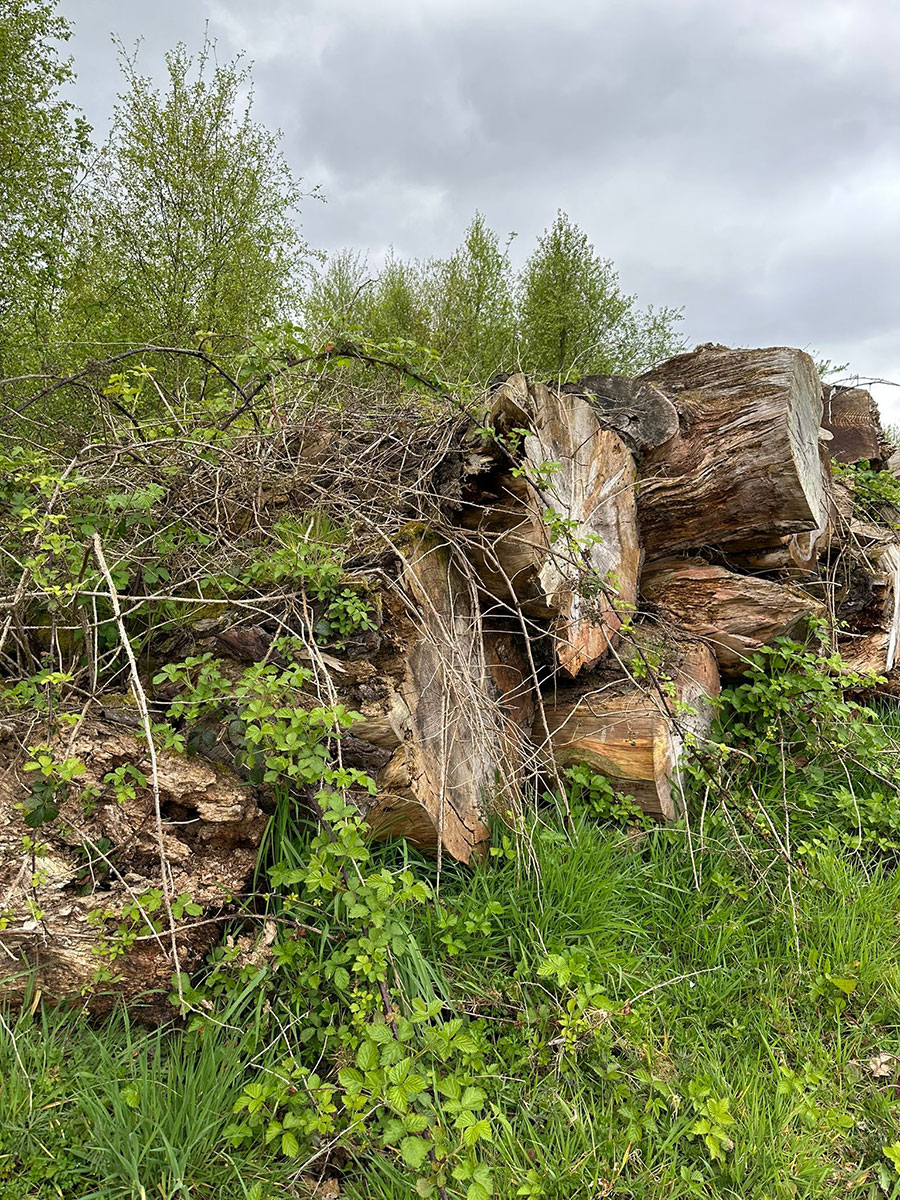 Stmperies and Rooteries from Brookfield