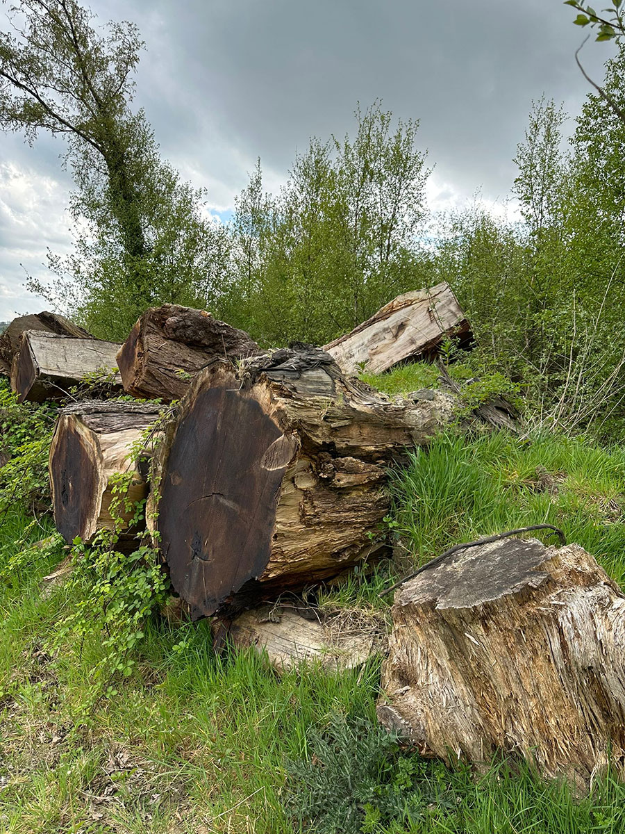 Stmperies and Rooteries from Brookfield